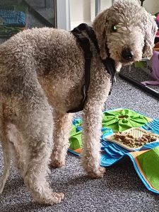 eNewsletter Sign Up!