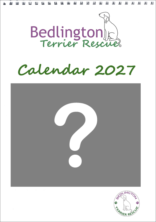 BTRF 2027 Calendar Photo Competition